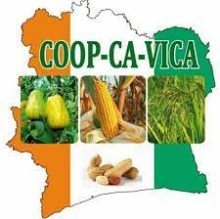 cop ca vica.jfif